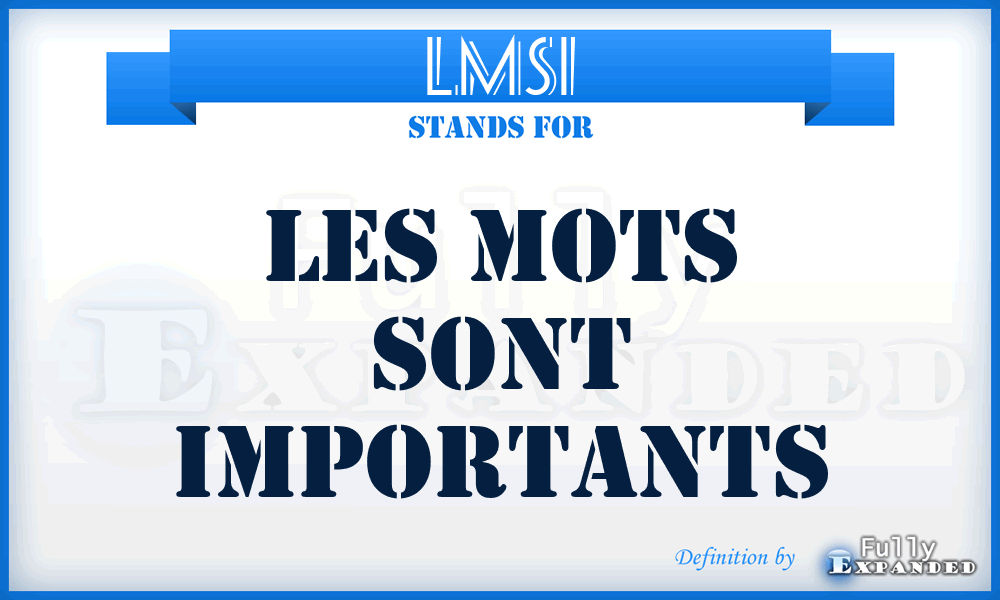 LMSI - Les mots sont importants