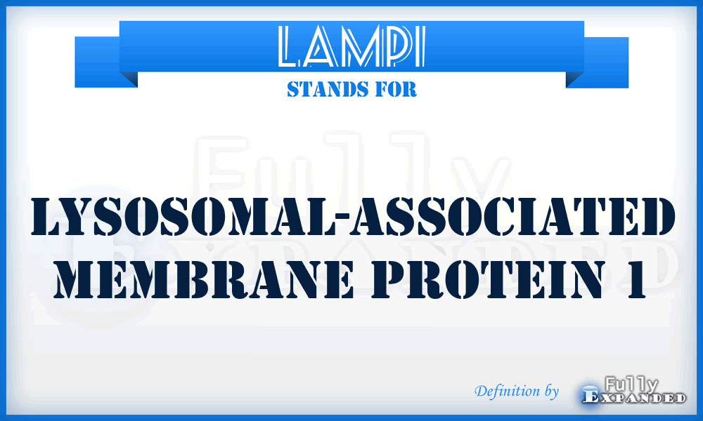 LAMP1 - Lysosomal-Associated Membrane Protein 1