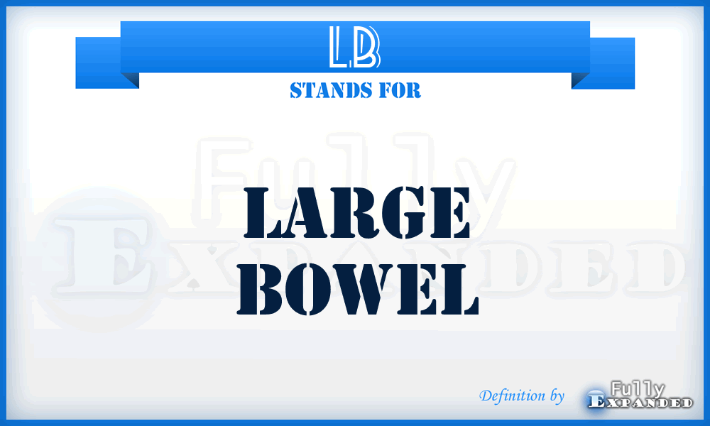 LB - Large Bowel