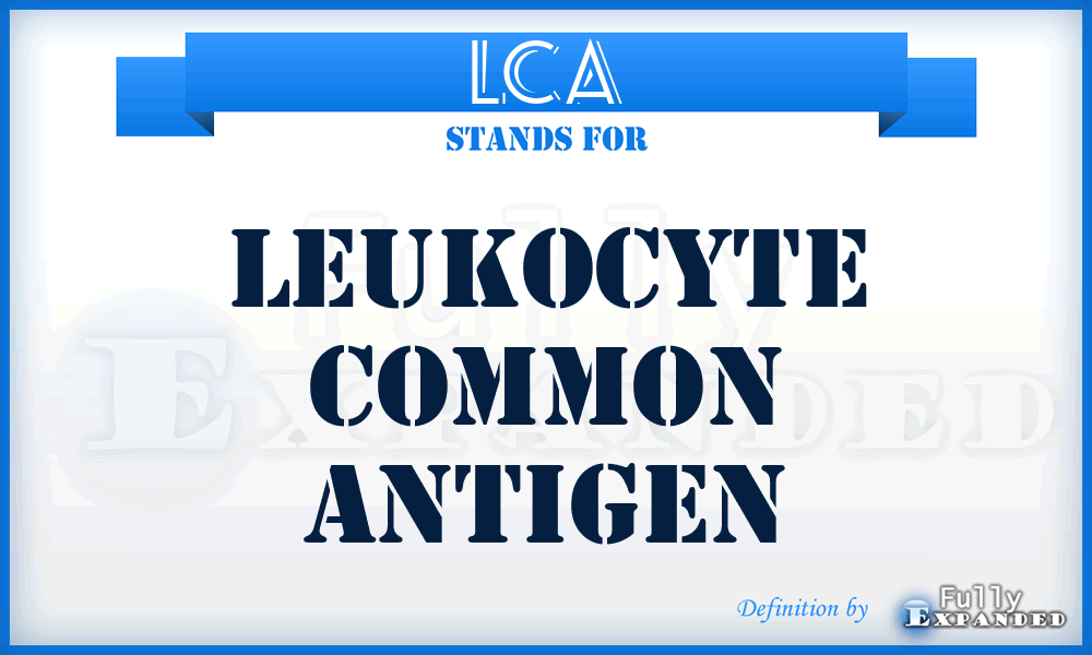 LCA - leukocyte common antigen