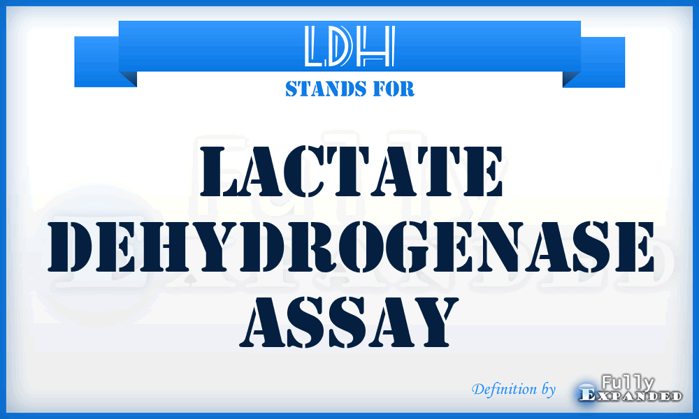 LDH - Lactate dehydrogenase assay