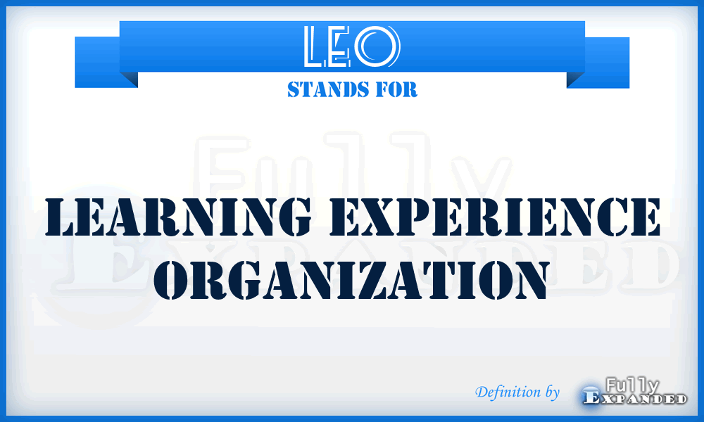 LEO - Learning Experience Organization