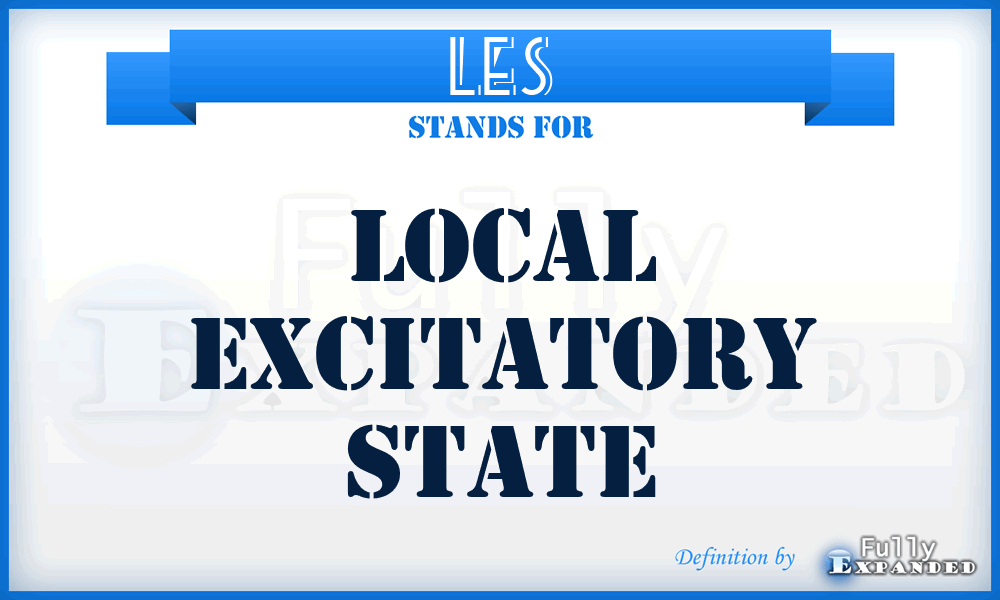 LES - Local Excitatory State