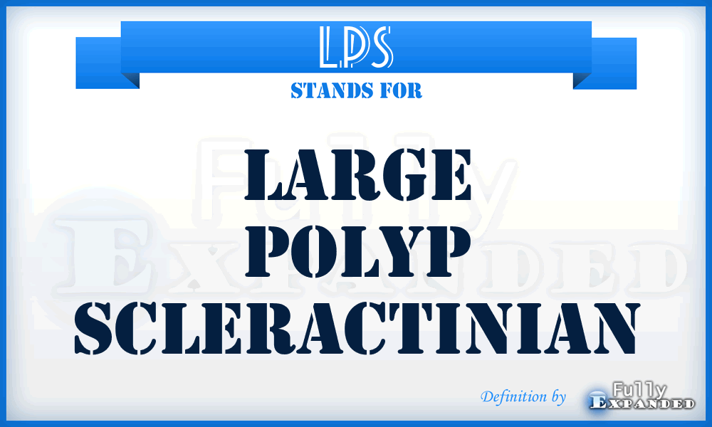 LPS - Large Polyp Scleractinian