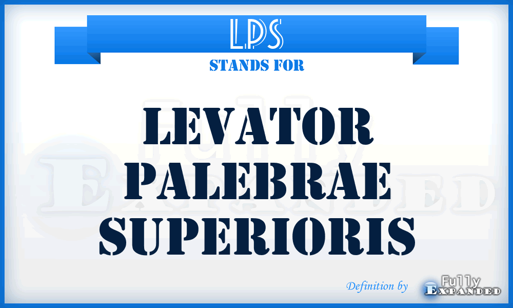 LPS - Levator Palebrae Superioris