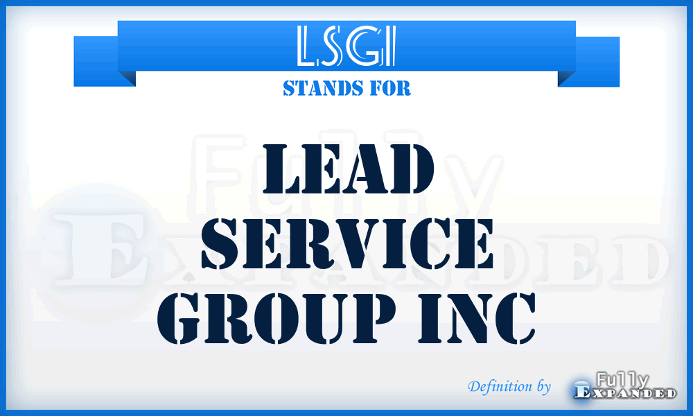 LSGI - Lead Service Group Inc
