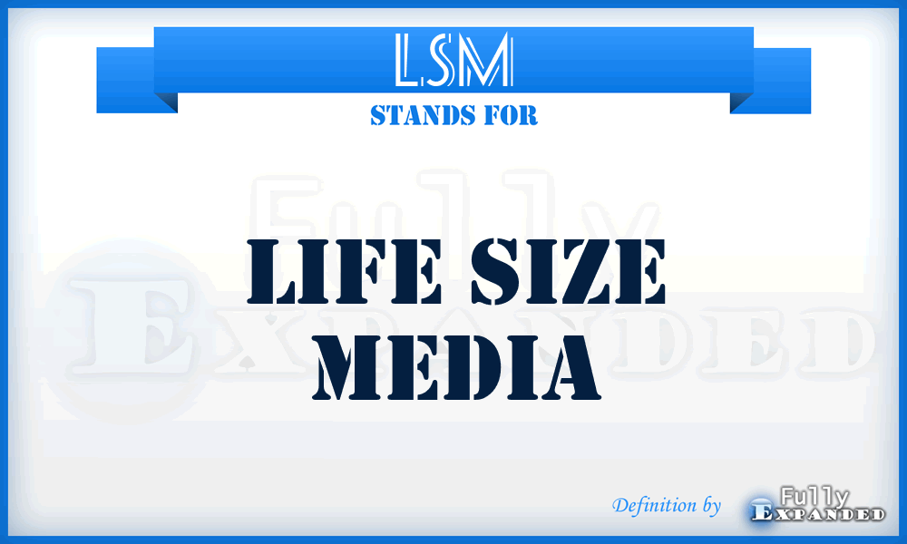 LSM - Life Size Media