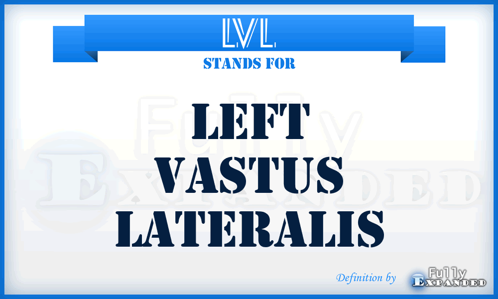 LVL - left vastus lateralis