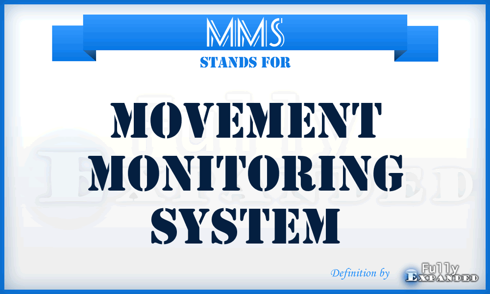 MMS - Movement Monitoring System