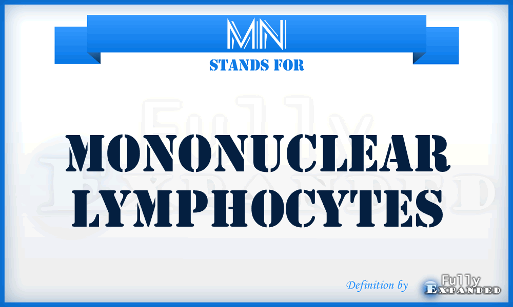 MN - Mononuclear Lymphocytes