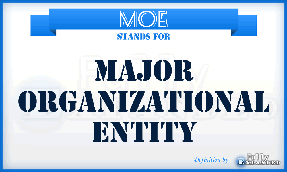 MOE - major organizational entity