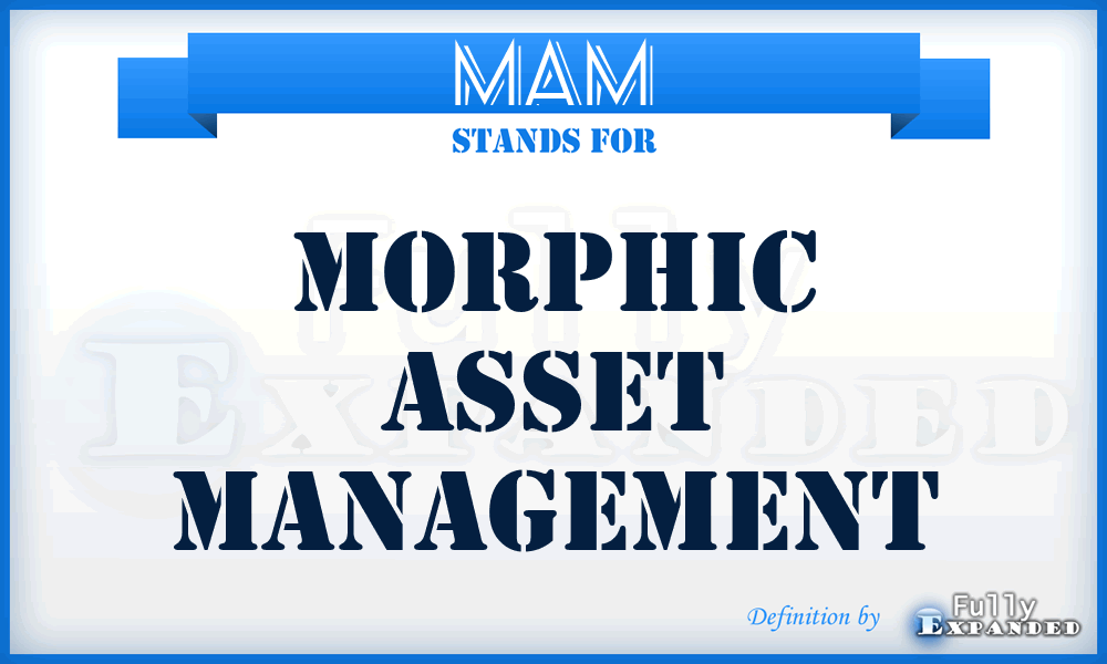 MAM - Morphic Asset Management