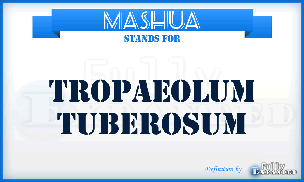 MASHUA - Tropaeolum tuberosum