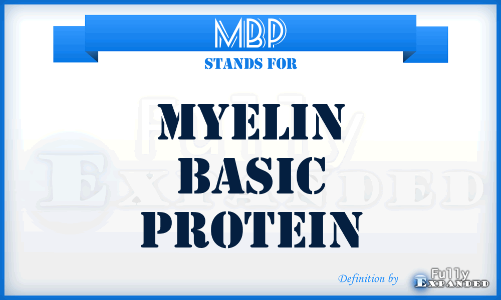 MBP - Myelin Basic Protein