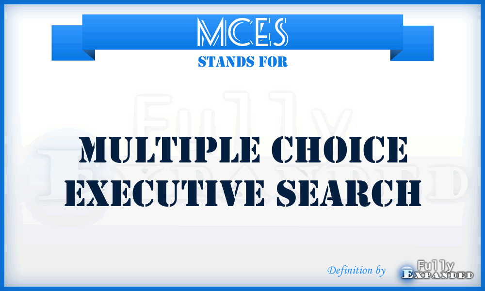 MCES - Multiple Choice Executive Search