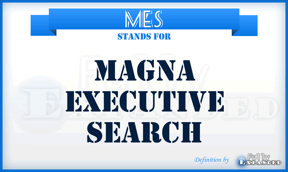 MES - Magna Executive Search