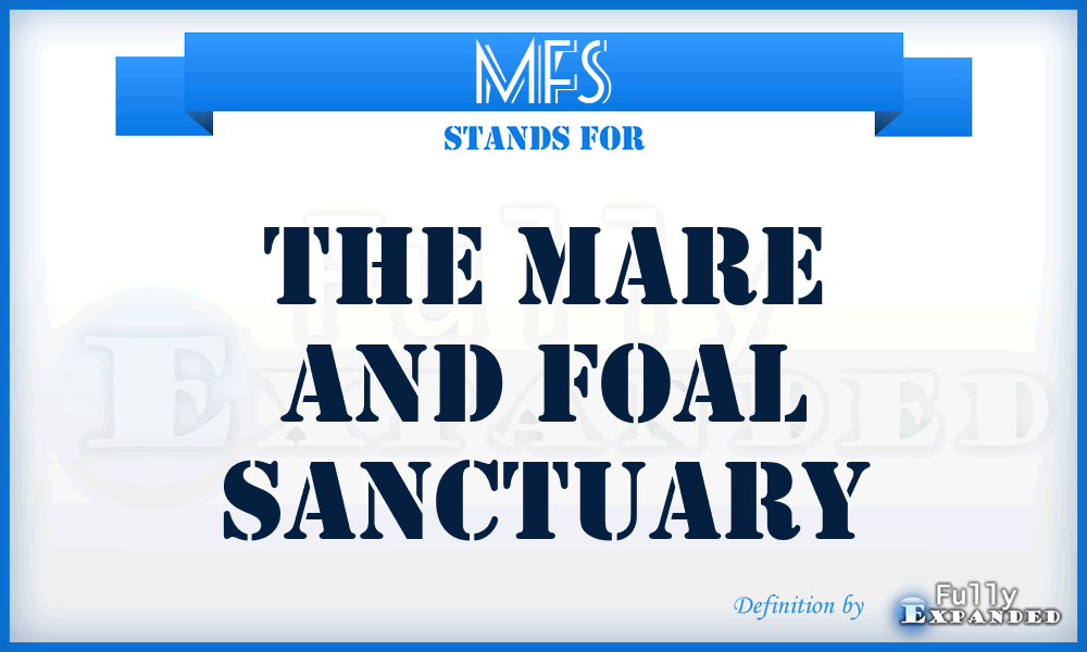 MFS - The Mare and Foal Sanctuary