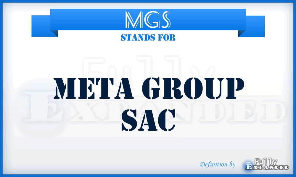 MGS - Meta Group Sac