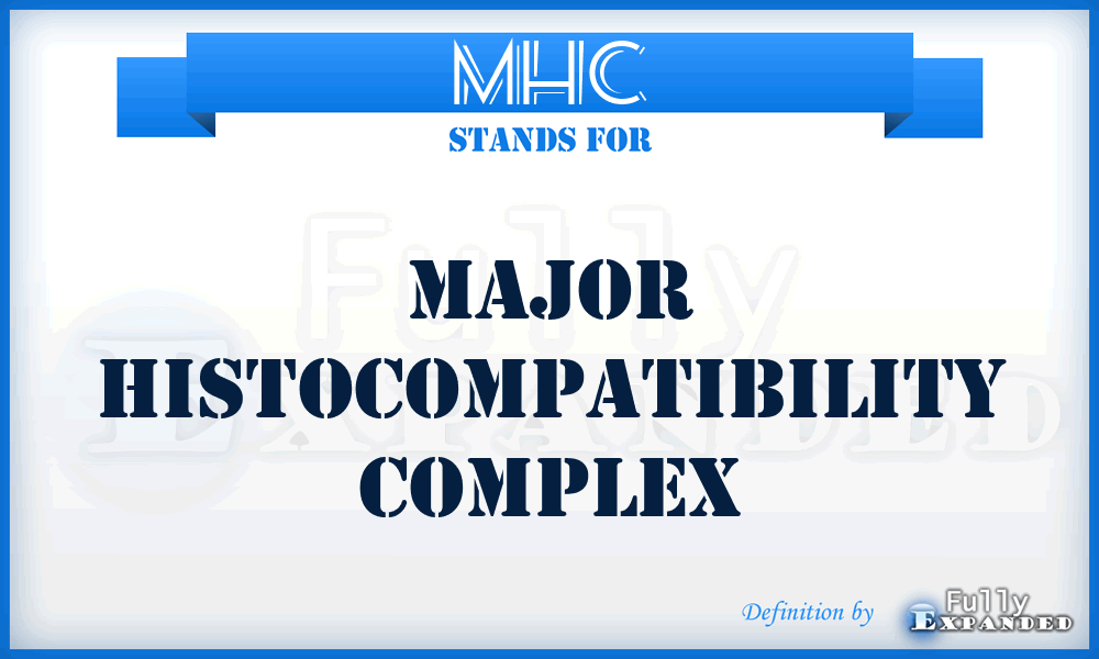 MHC - major Histocompatibility Complex