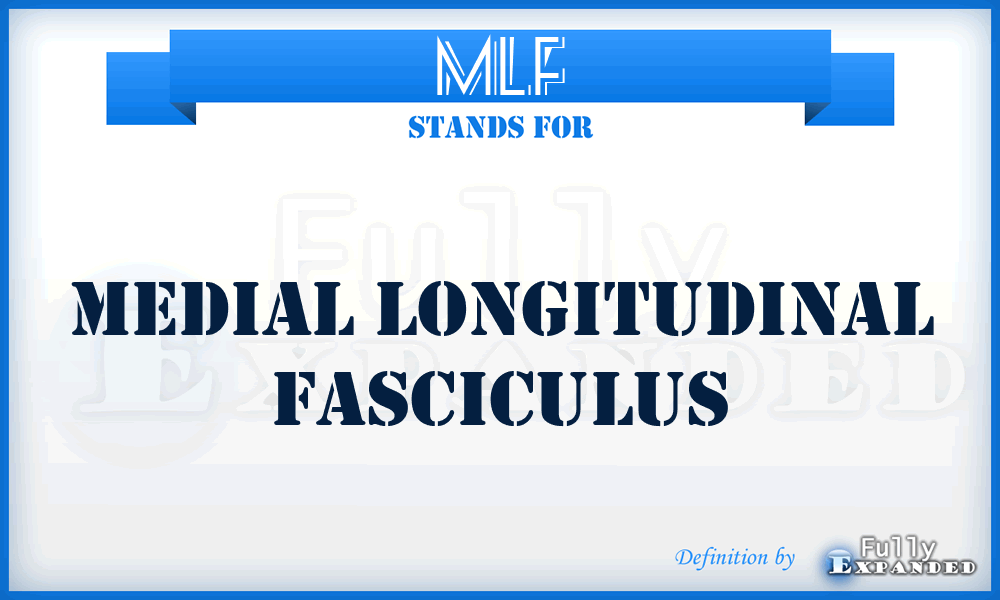 MLF - Medial longitudinal fasciculus