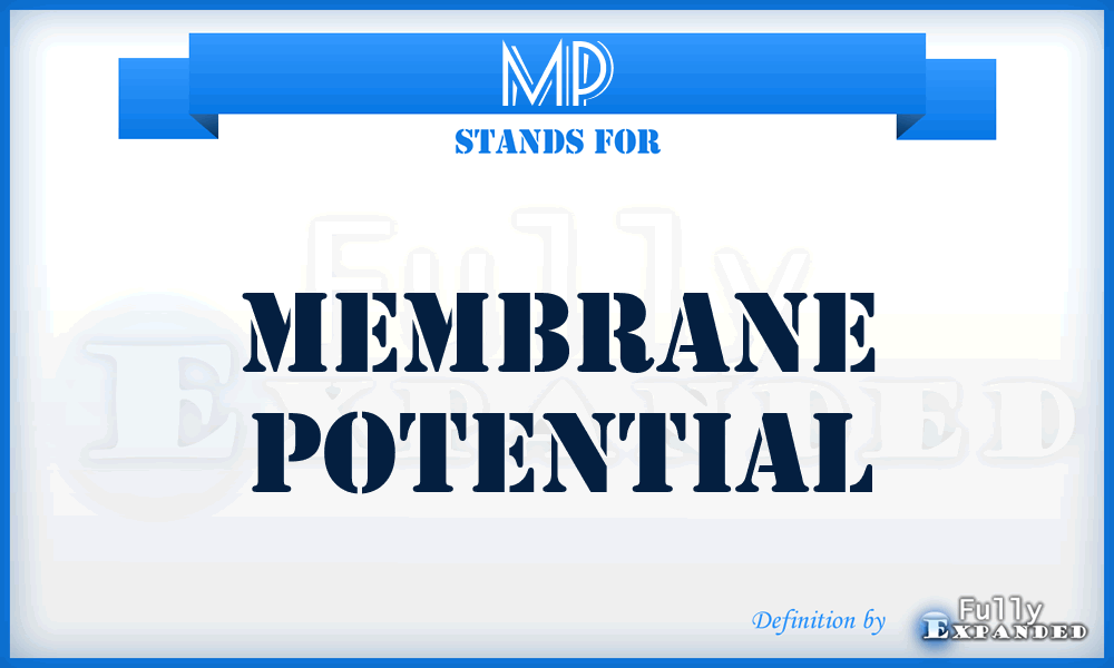 MP - membrane potential