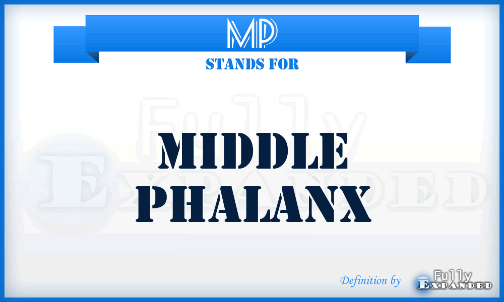 MP - middle phalanx