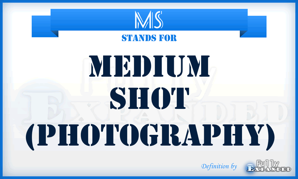 MS - Medium Shot (photography)