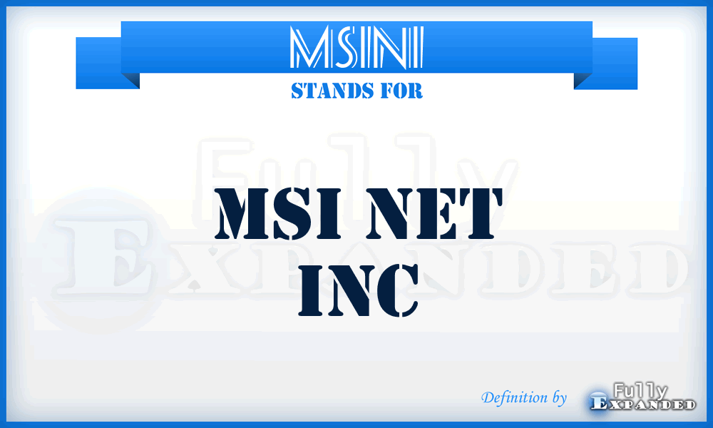 MSINI - MSI Net Inc