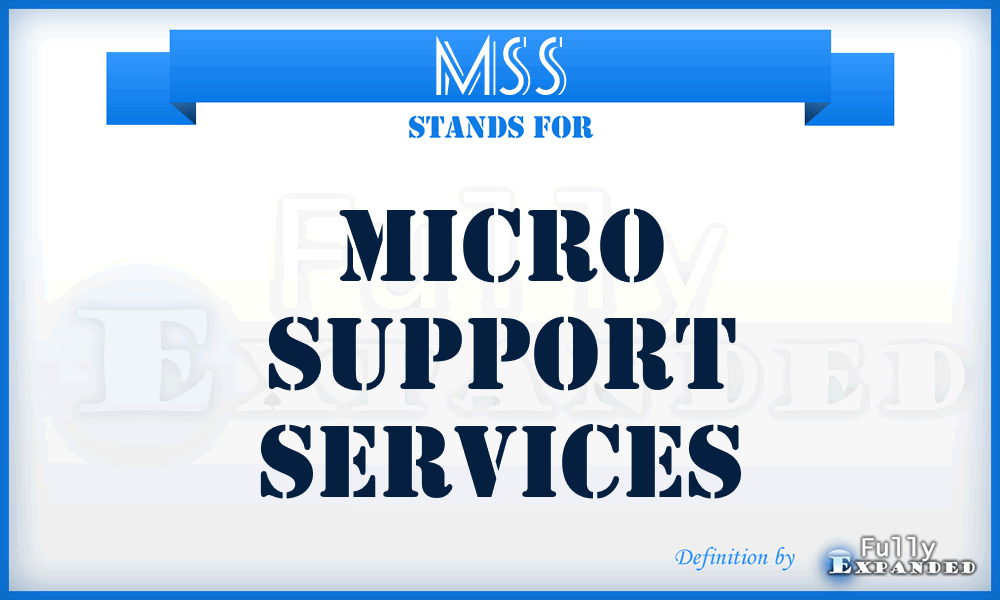 MSS - Micro Support Services