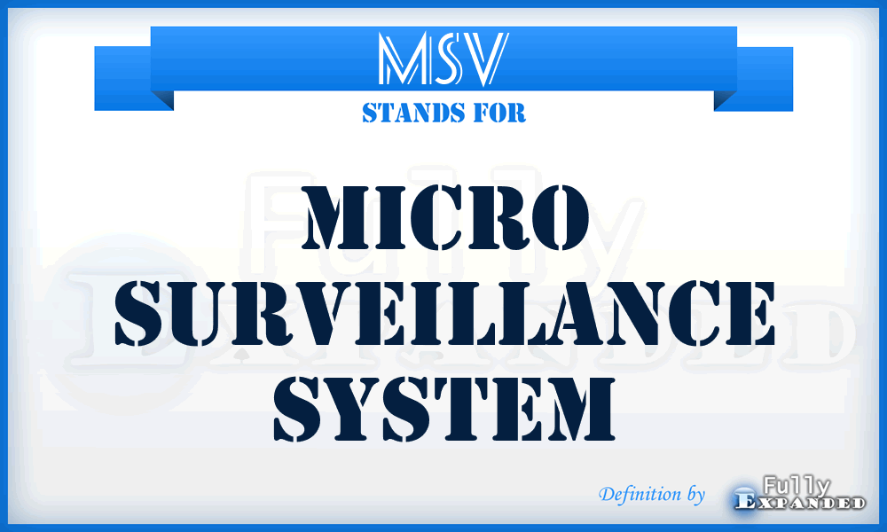 MSV - micro surveillance system