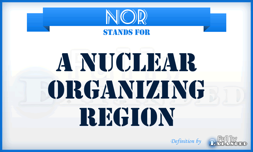 NOR - A Nuclear Organizing Region