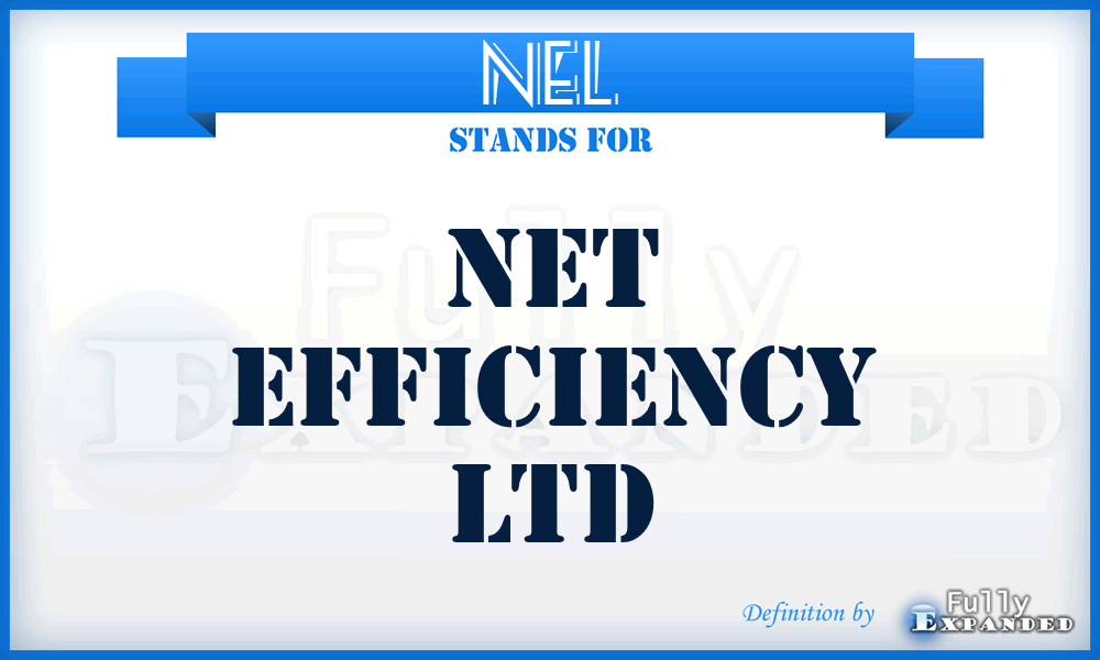 NEL - Net Efficiency Ltd