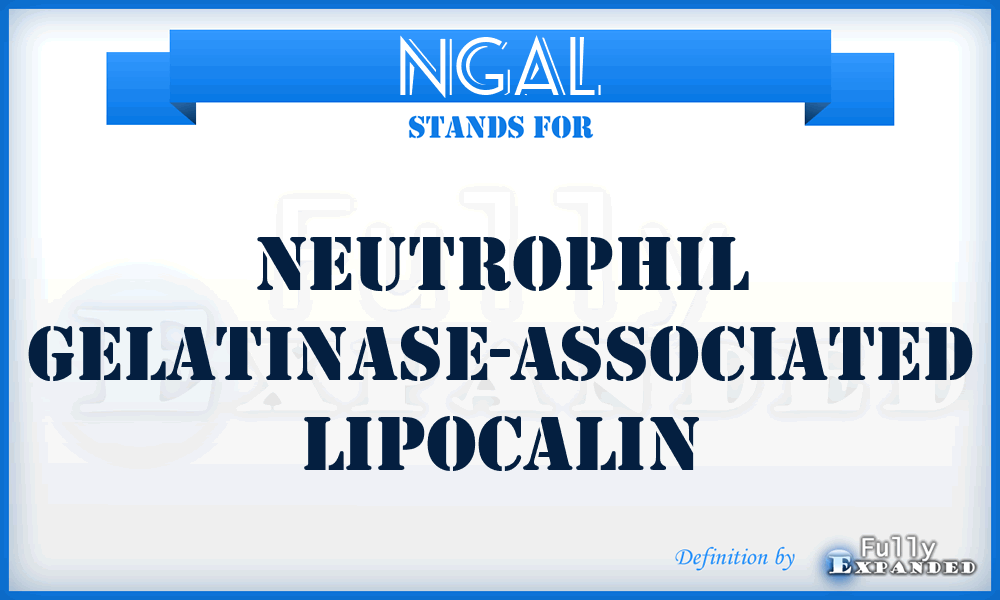 NGAL - neutrophil gelatinase-associated lipocalin