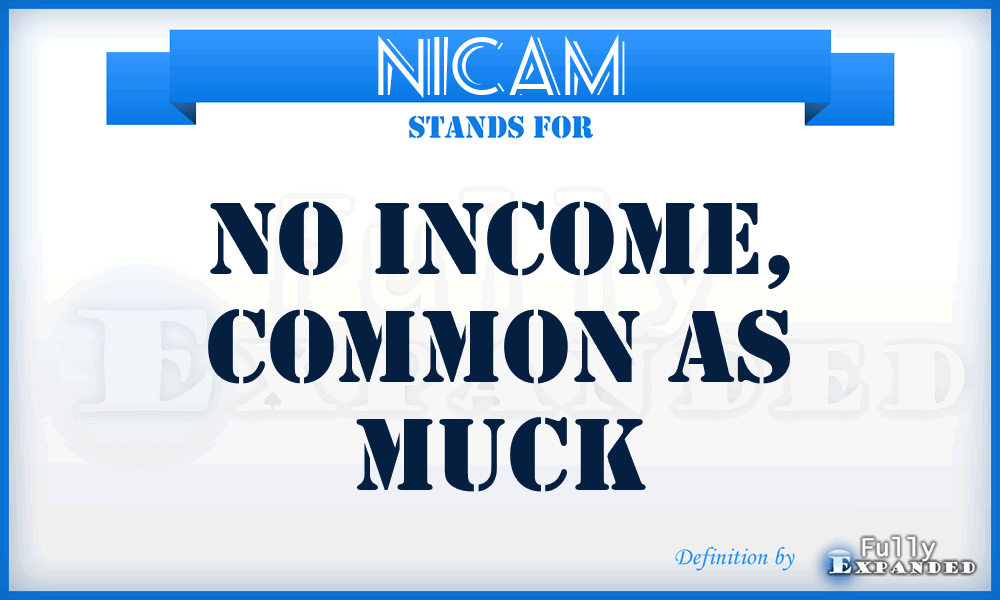 NICAM - No Income, Common As Muck