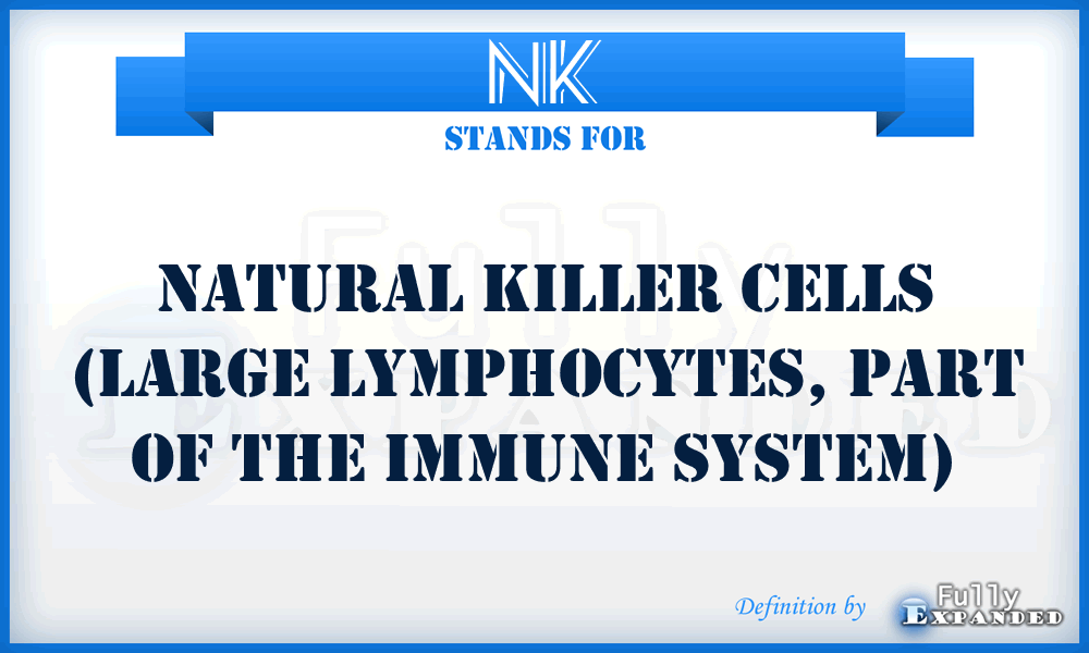 NK - Natural Killer cells (large lymphocytes, part of the immune system)