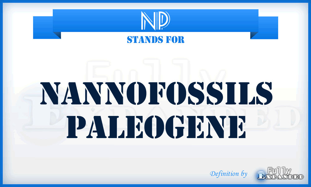 NP - Nannofossils Paleogene