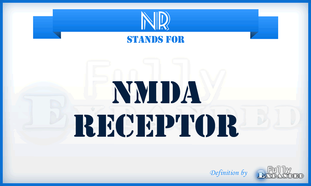 NR - NMDA receptor