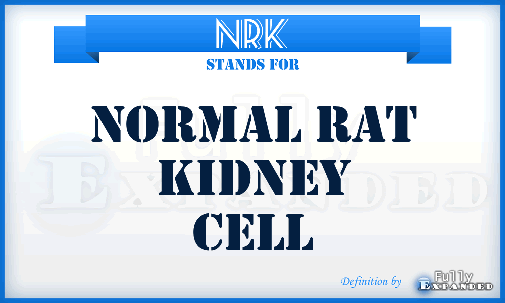 NRK - Normal Rat Kidney Cell