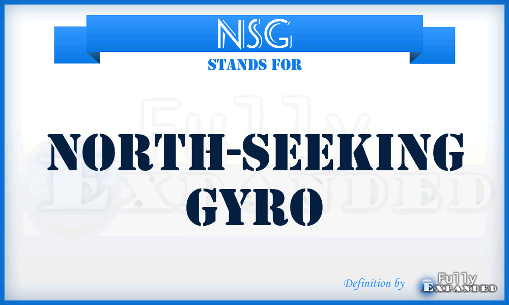 NSG - north-seeking gyro