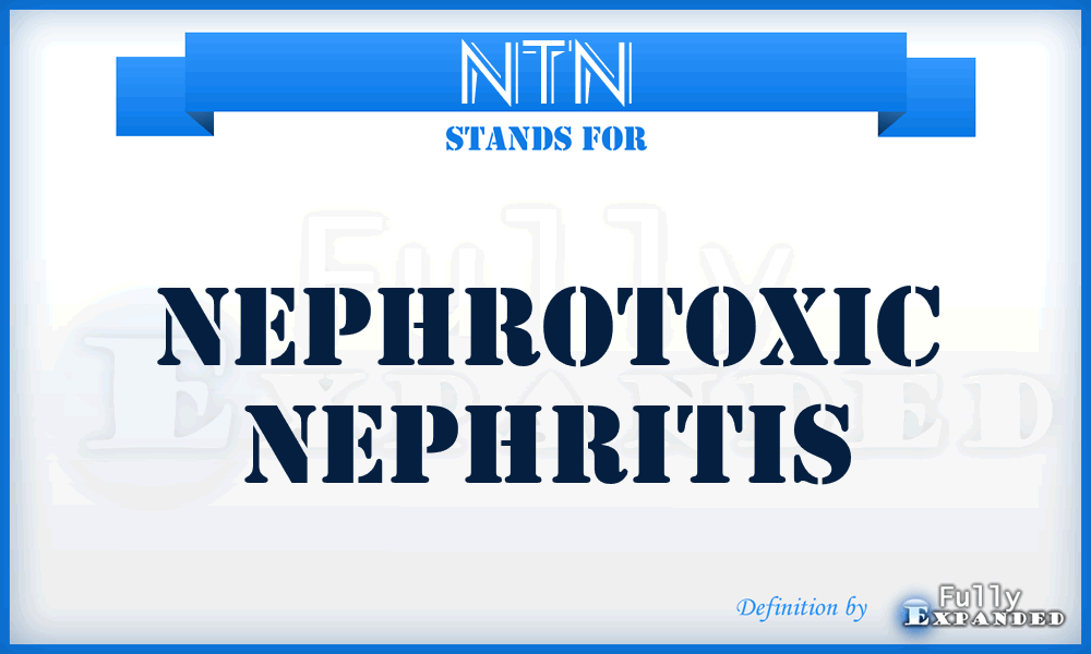 NTN - nephrotoxic nephritis