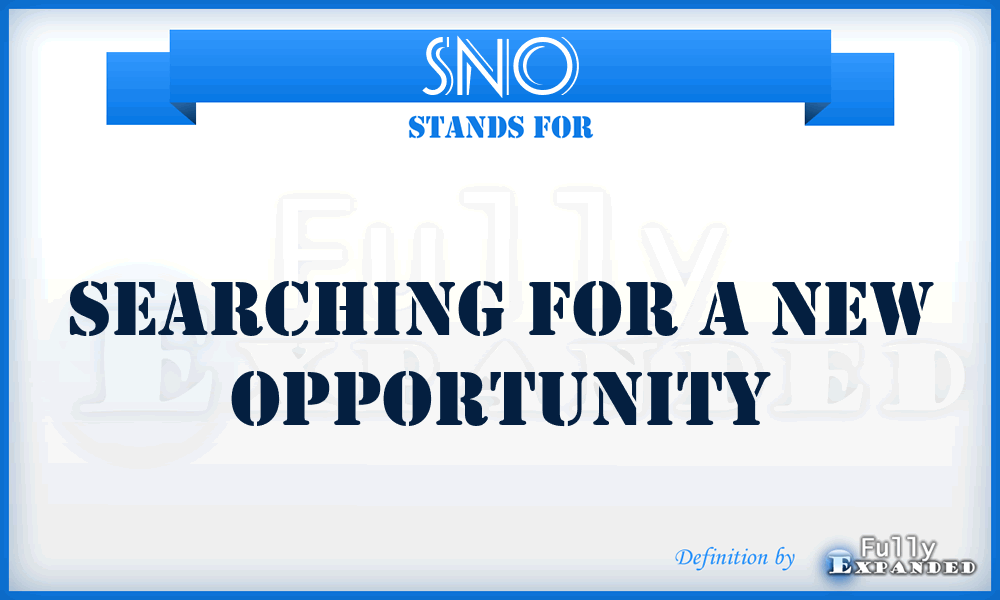 SNO - Searching for a New Opportunity