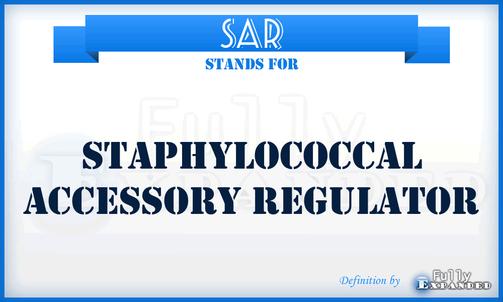 SAR - staphylococcal accessory regulator
