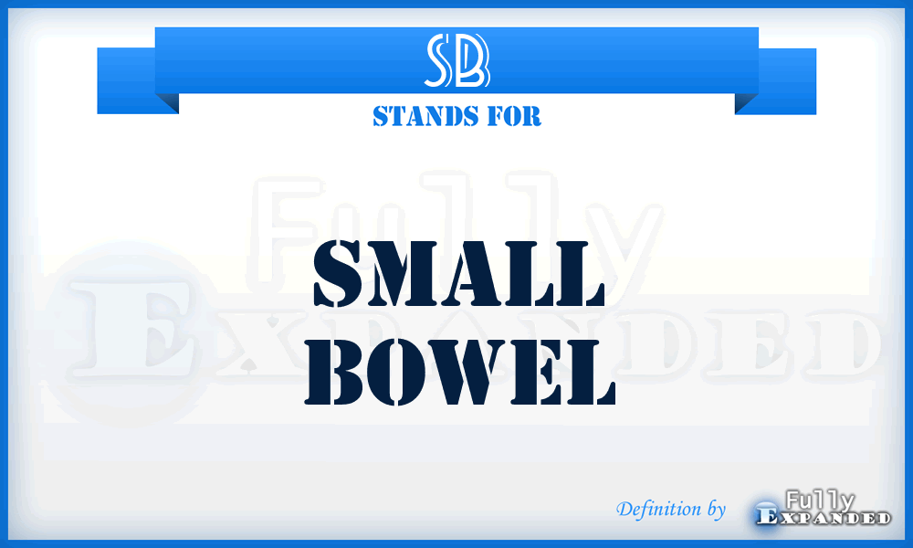 SB - Small Bowel