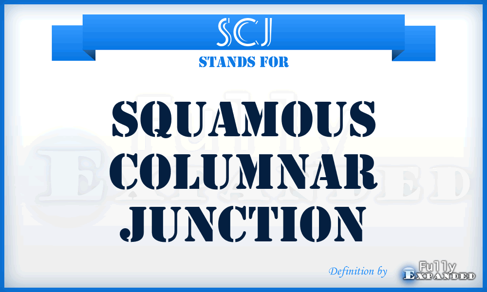 SCJ - squamous columnar junction