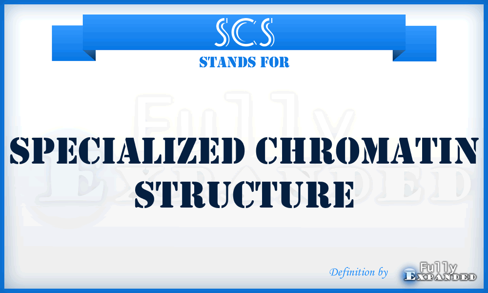 SCS - specialized chromatin structure
