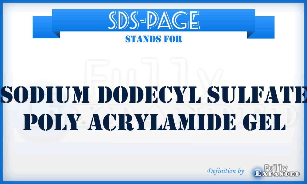 SDS-PAGE - sodium dodecyl sulfate poly acrylamide gel