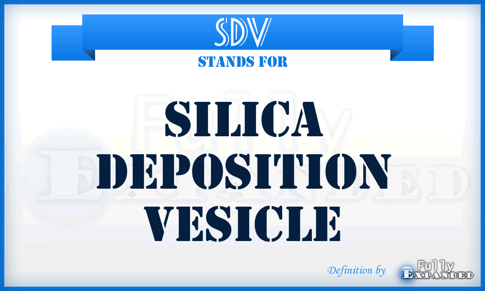 SDV - silica deposition vesicle