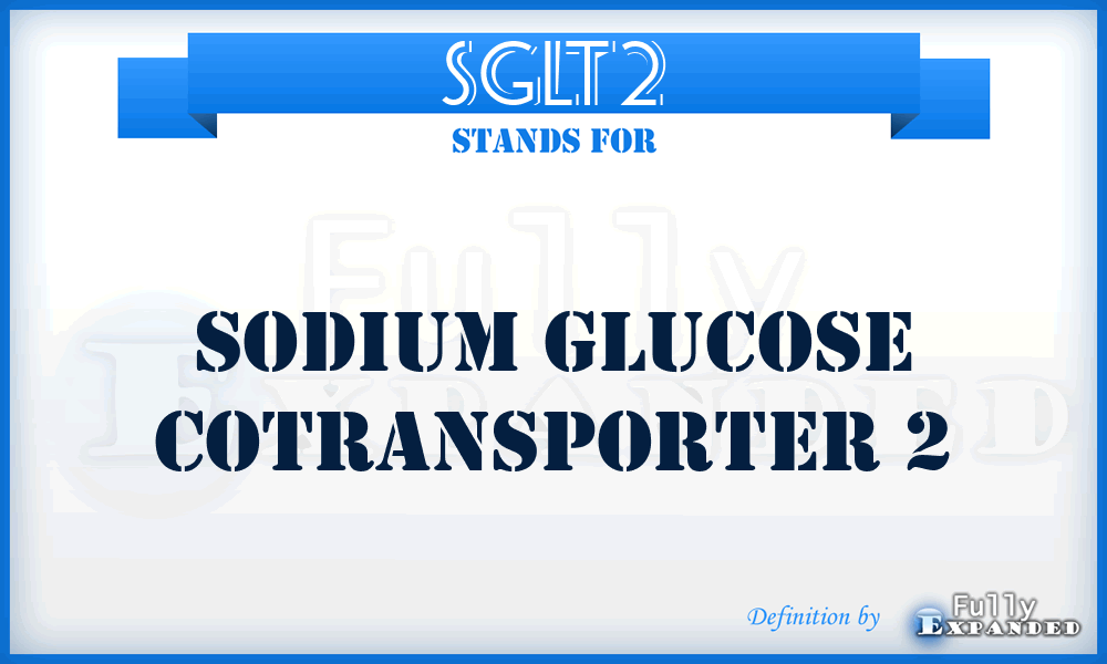 SGLT2 - sodium glucose cotransporter 2