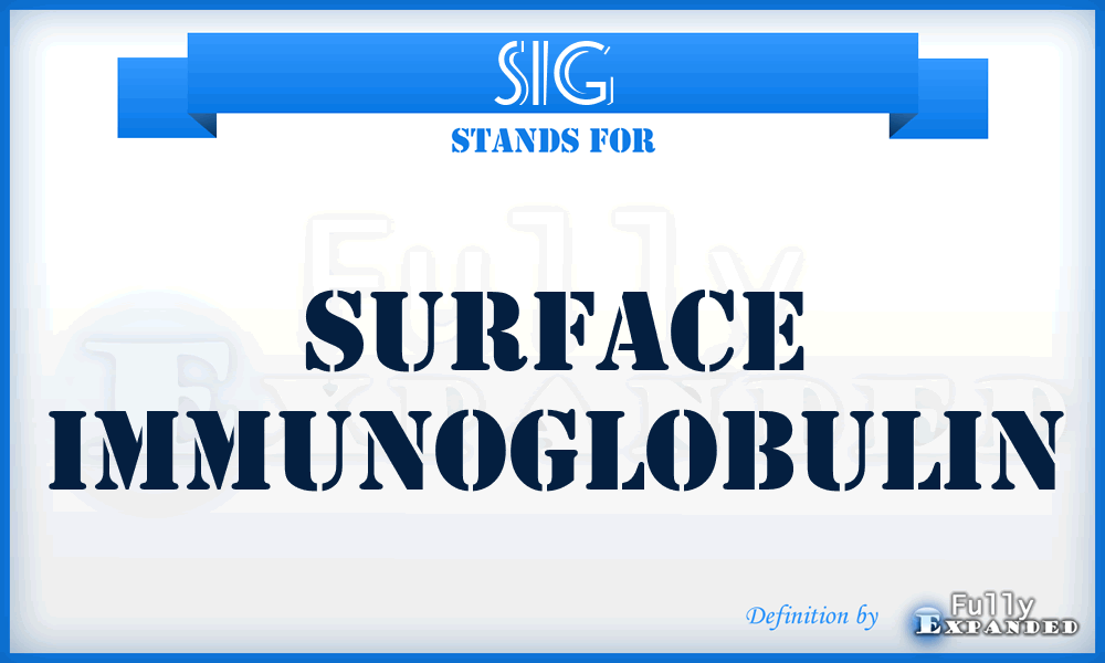 SIG - Surface Immunoglobulin