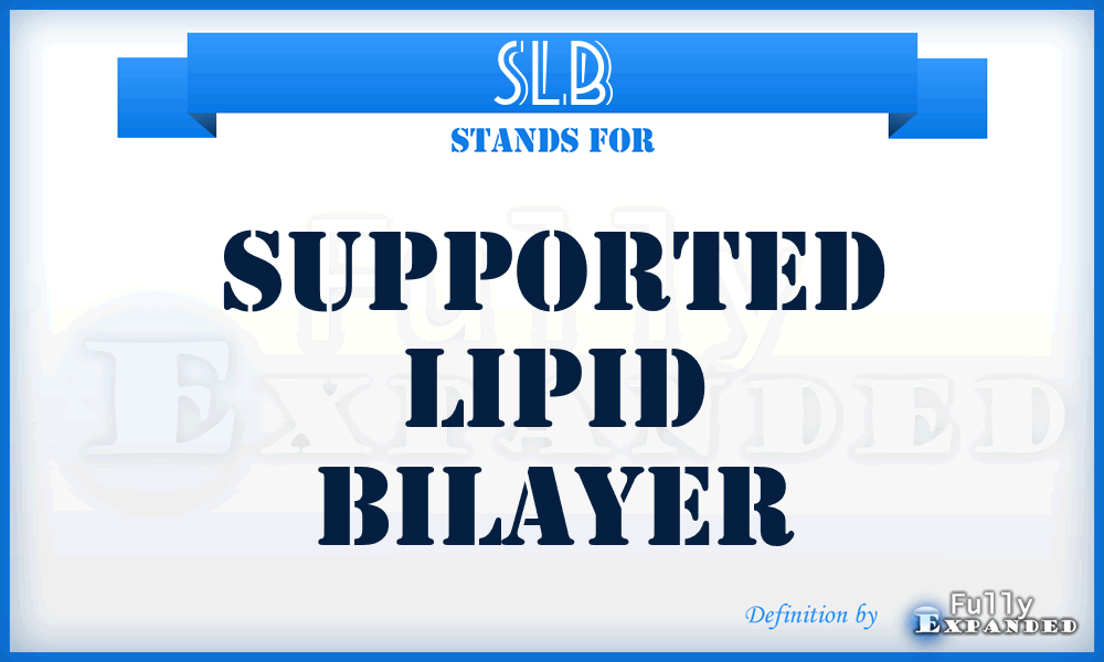 SLB - supported lipid bilayer
